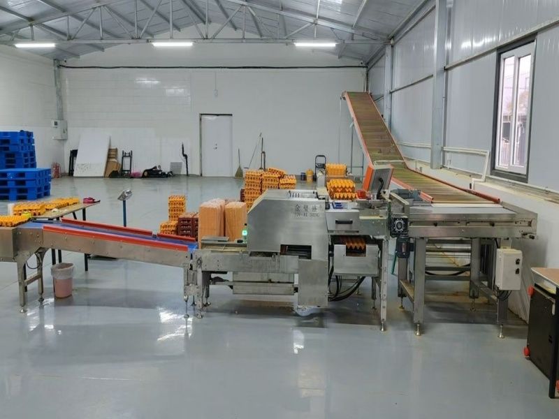 ������+�b�ЙC(j��)