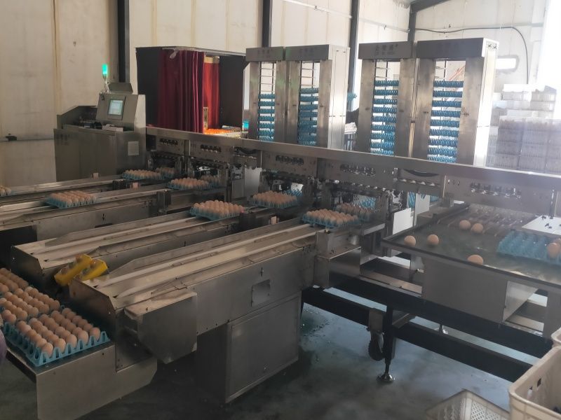 ��Ʒ�ּ��b�ЙC��ÿС